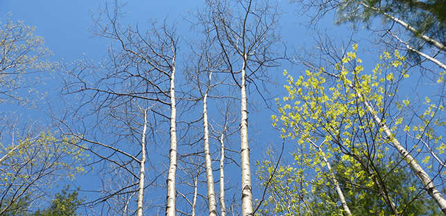 Conservation Authorities Act Review Conservation Authorities Act Review